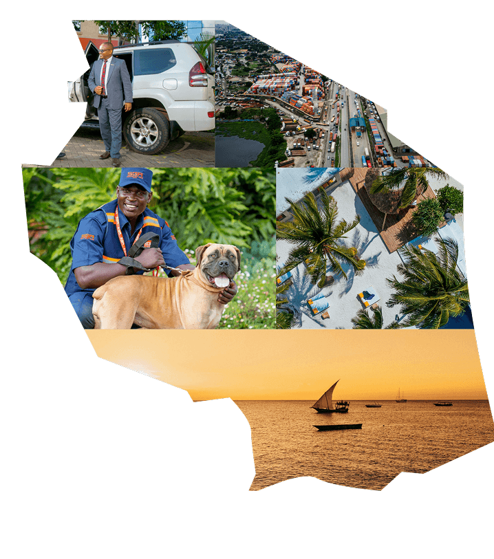 Tanzania Security Services